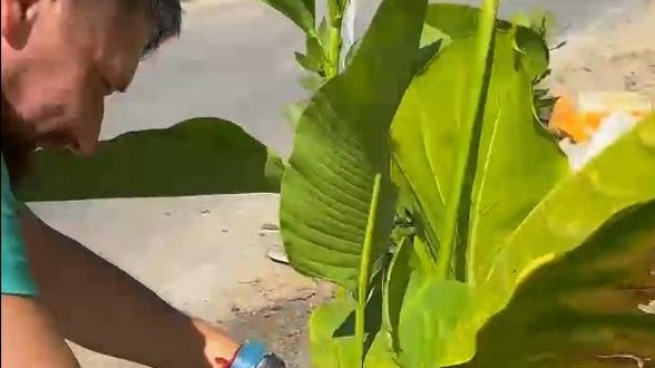 Limpiaron un basural en Maschwitz y a los cuatro días ya había uno peor