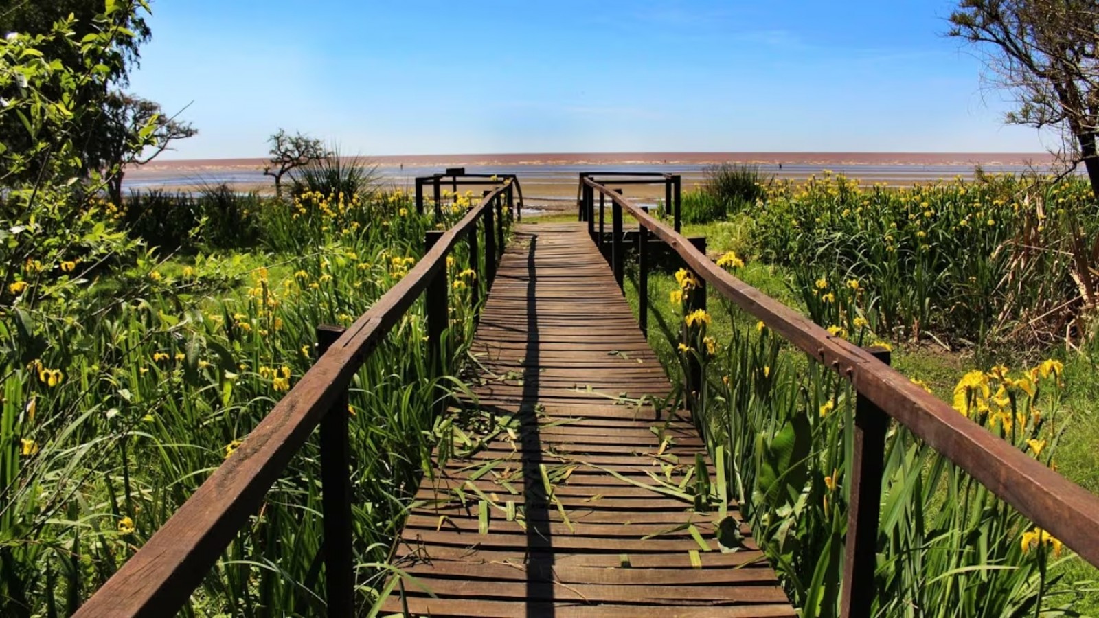 Punta Indio, el destino bonaerense ideal para descansar cerca de Buenos Aires