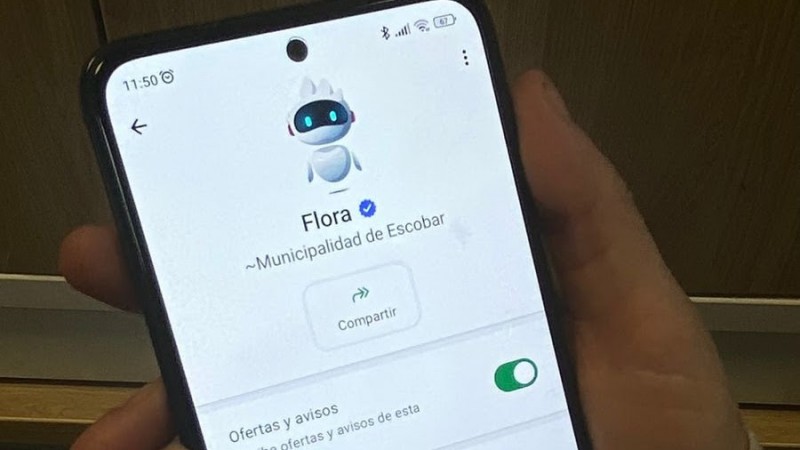 Turnos, estudios y resultados por WhatsApp: Flora ya gestionó más de 28 mil trámites de salud en 2026