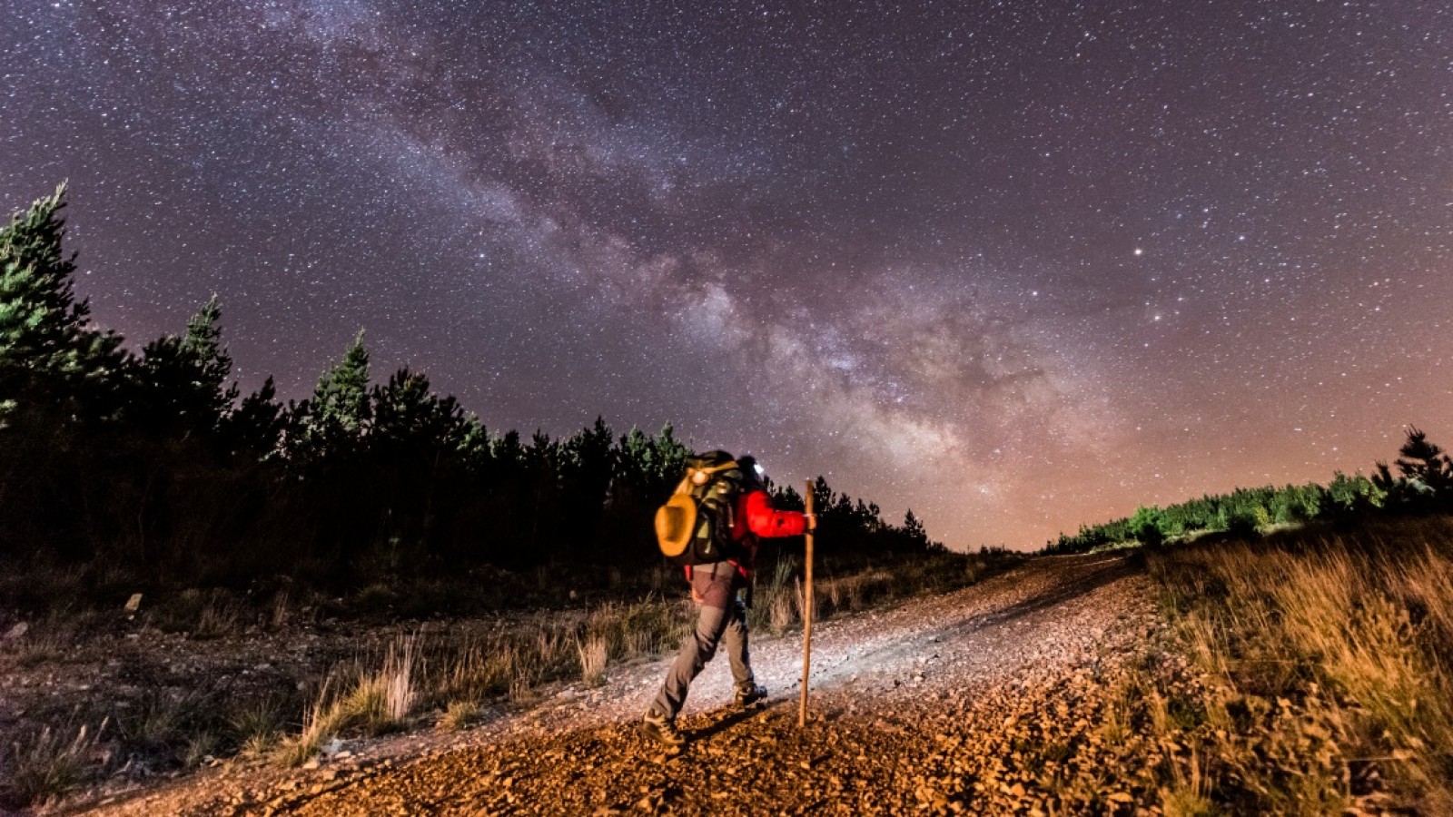Luján inaugura la muestra "Iacobus Gaudet" sobre el Camino de Santiago en el Museo de Bellas Artes