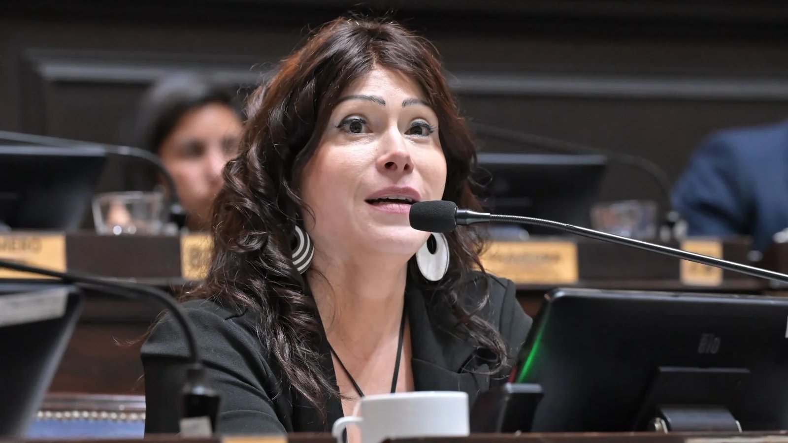 Preocupación por el aumento de la mortalidad infantil en Campana: la tasa supera el promedio provincial