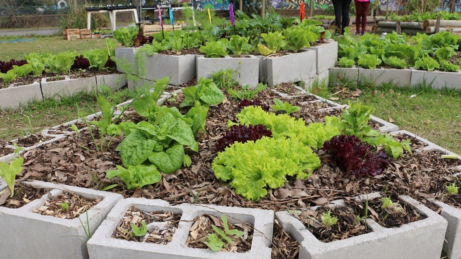 San Isidro: Está abierta la inscripción para el curso de Huertas Agroecológicas