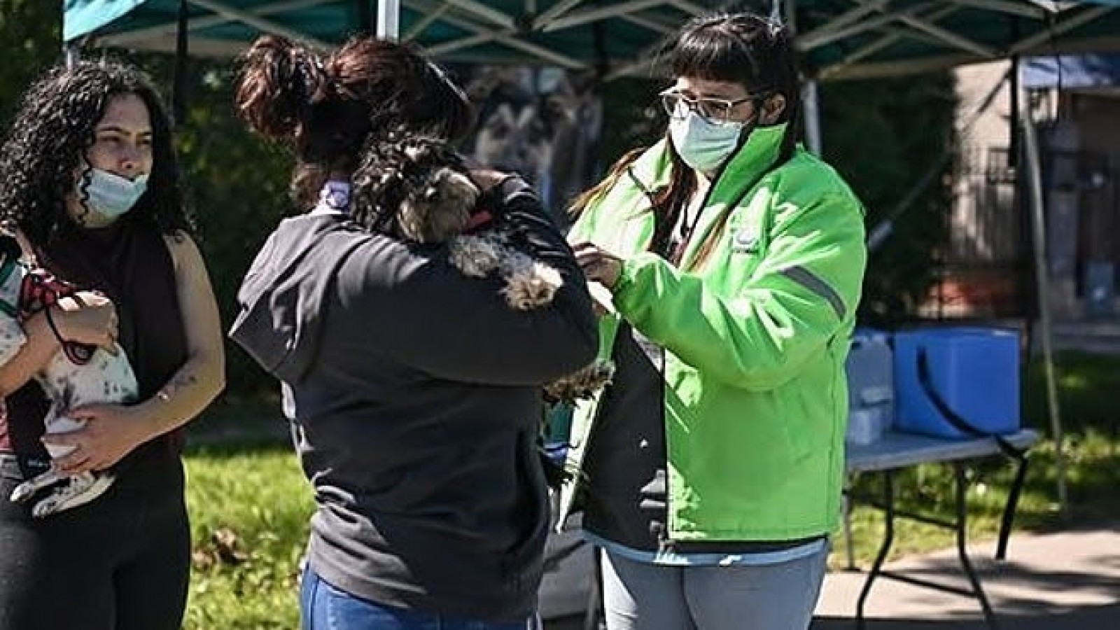 Zoonosis Escobar: continúa la campaña de vacunación antirrábica para mascotas en Ingeniero Maschwitz, Garín y Belén de Escobar