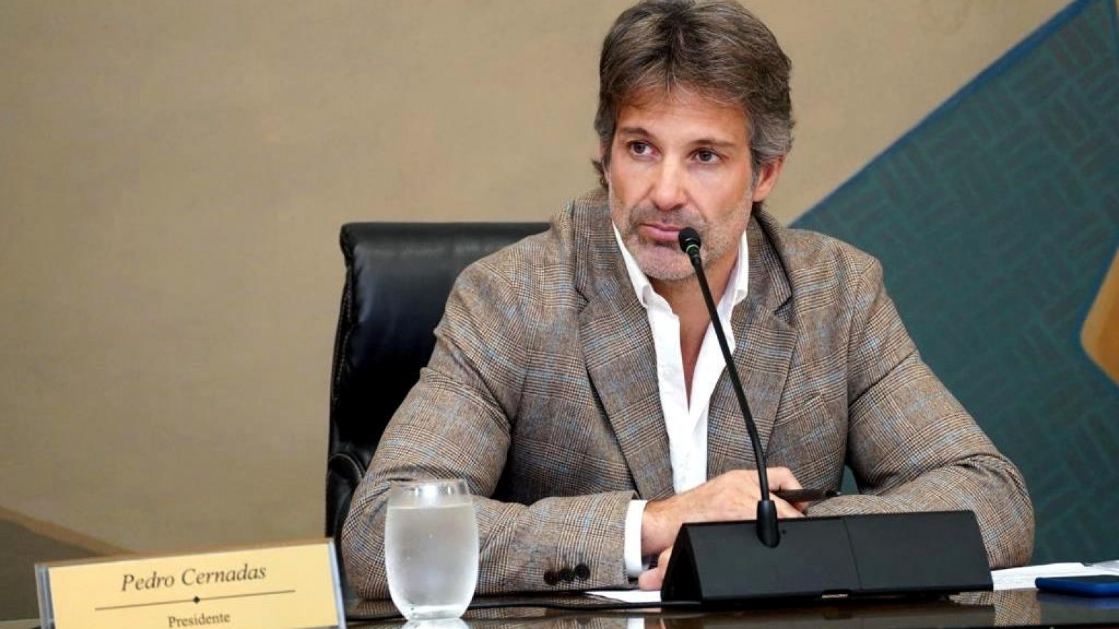 Cernadas quiere ficha limpia en Tigre