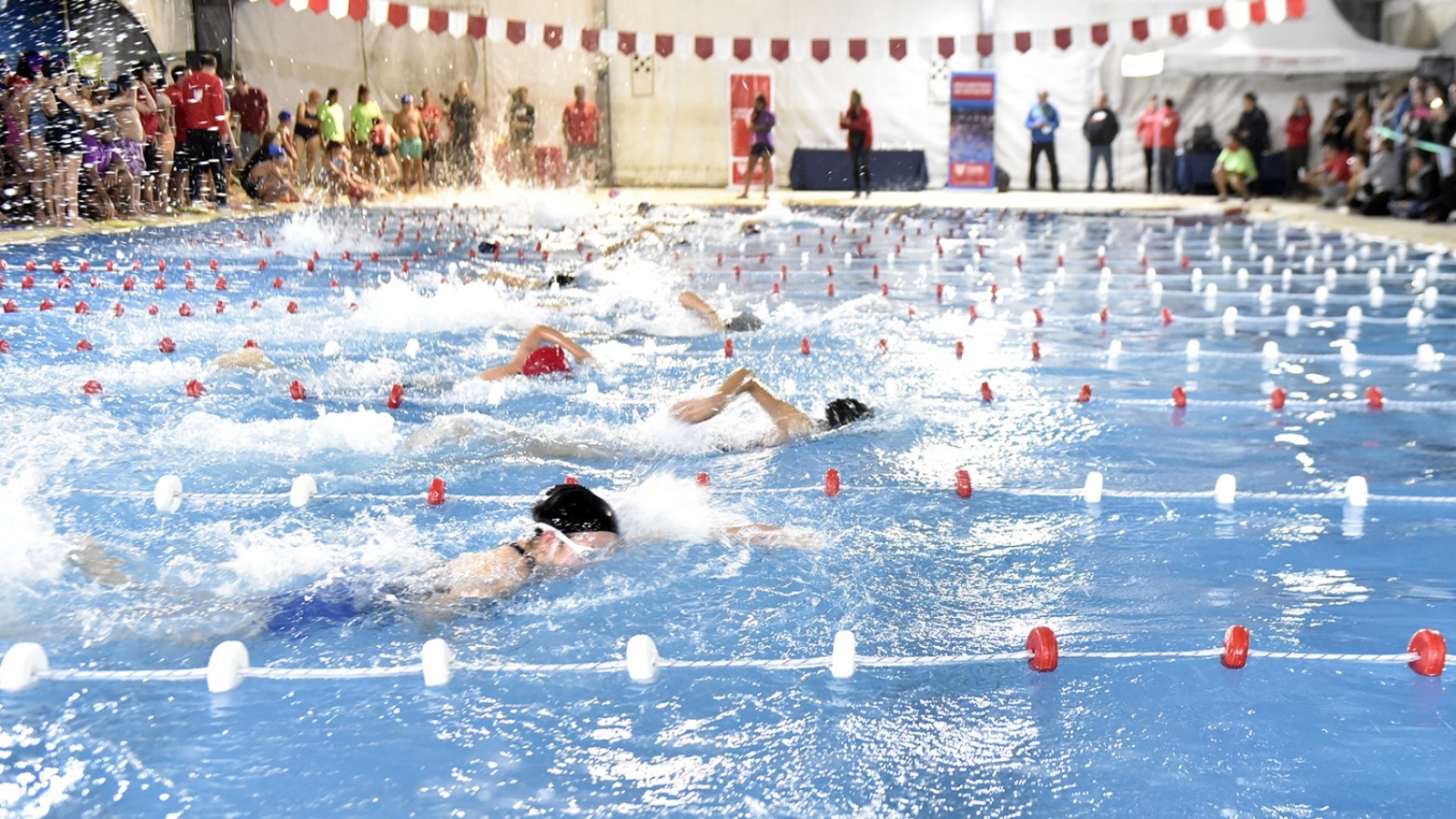 El Municipio realizó un encuentro de natación para más de 340 chicos y chicas de Tigre
