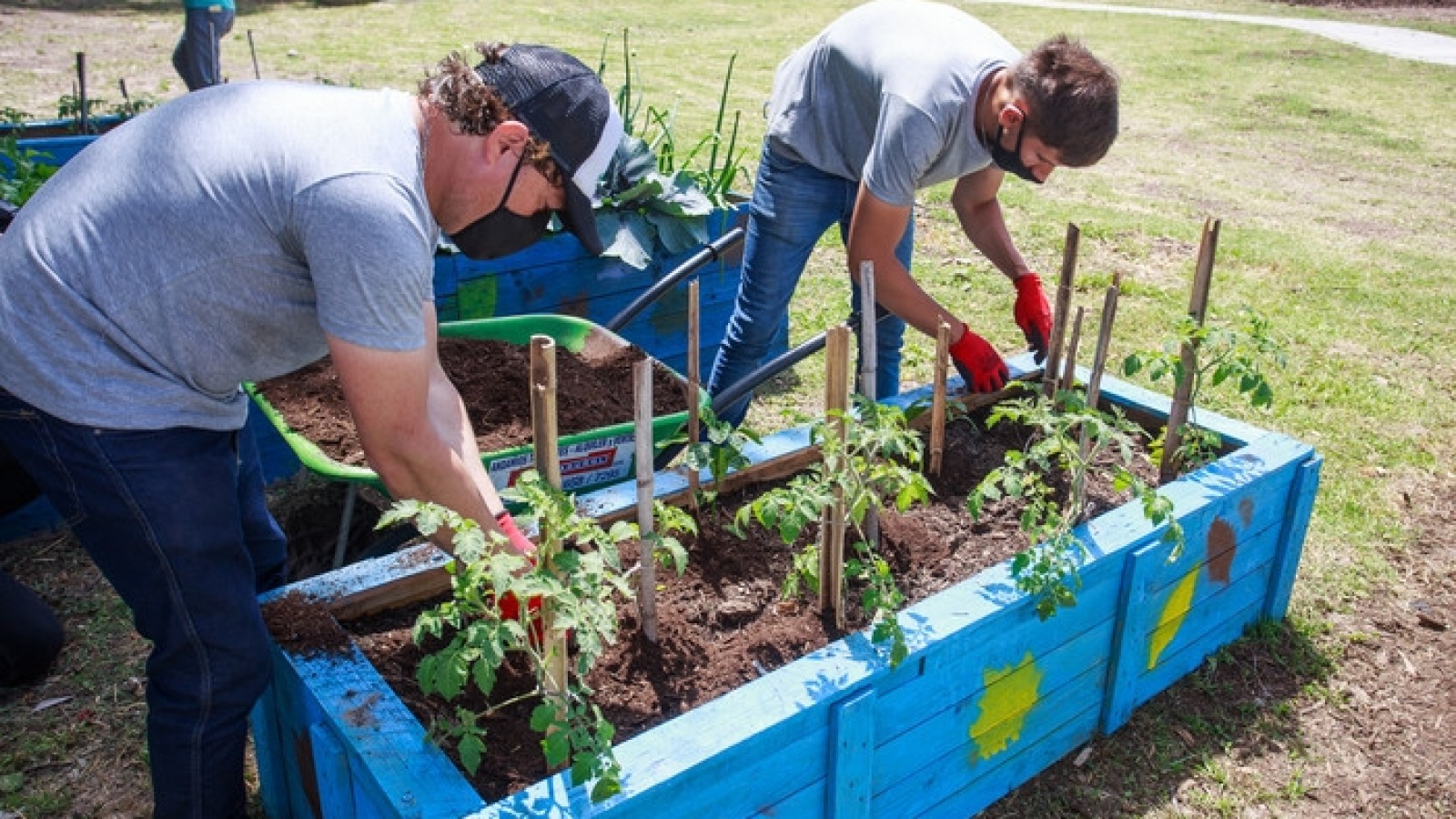 Compostaje: alternativas para realizar esta práctica sustentable en la Ciudad