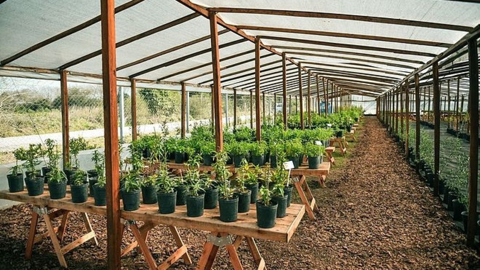 Escobar Sostenible: el Municipio abrió las puertas del segundo Vivero de Plantas Nativas del distrito