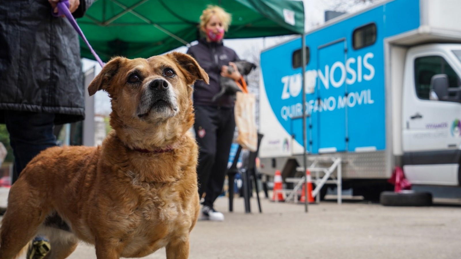 Continúan las jornadas de Zoonosis en Vicente López