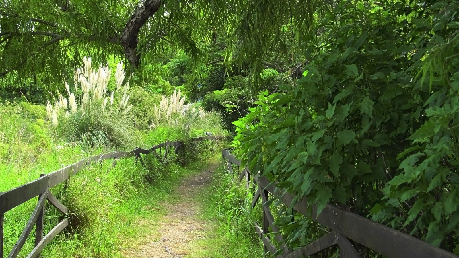 Reapertura de la Reserva Ecológica de Vicente López