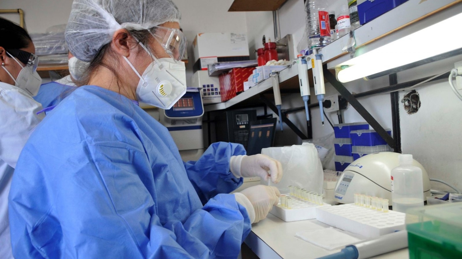 Otros 77 muertos y 3.709 nuevos casos de coronavirus en la Argentina