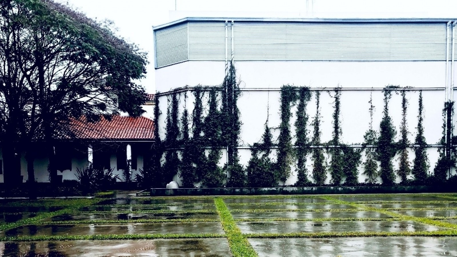 Nueva programación en la plataforma Lumiton