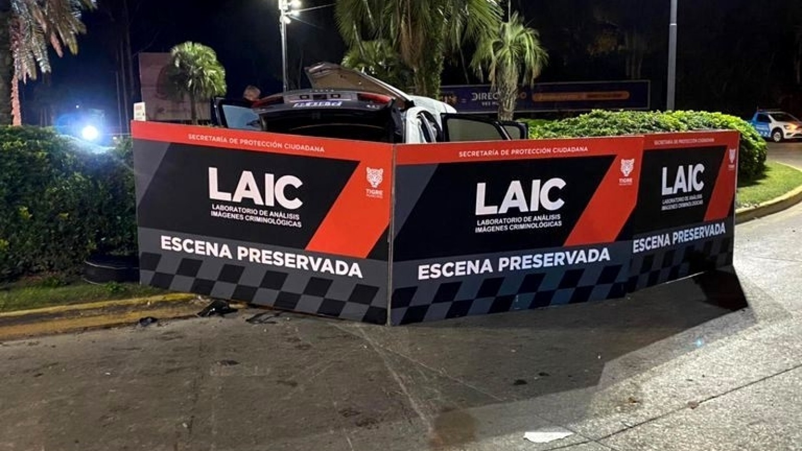 El joven que chocó con el auto en Tigre podría recibir una pena de hasta 25 años