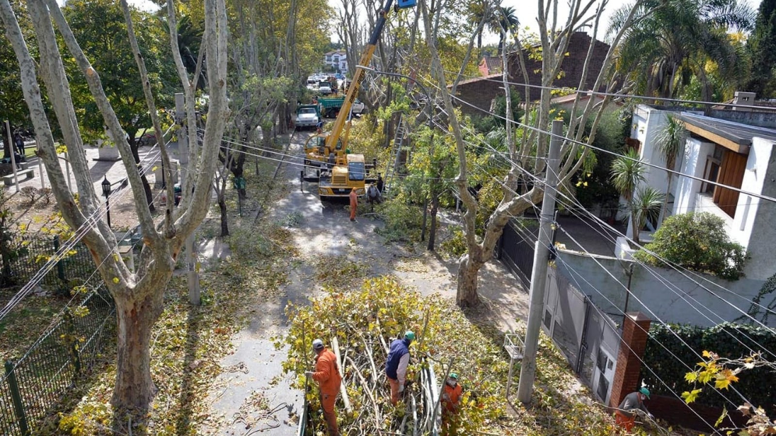El Municipio puso en marcha el Plan de Poda 2021 en diversas localidades de Tigre