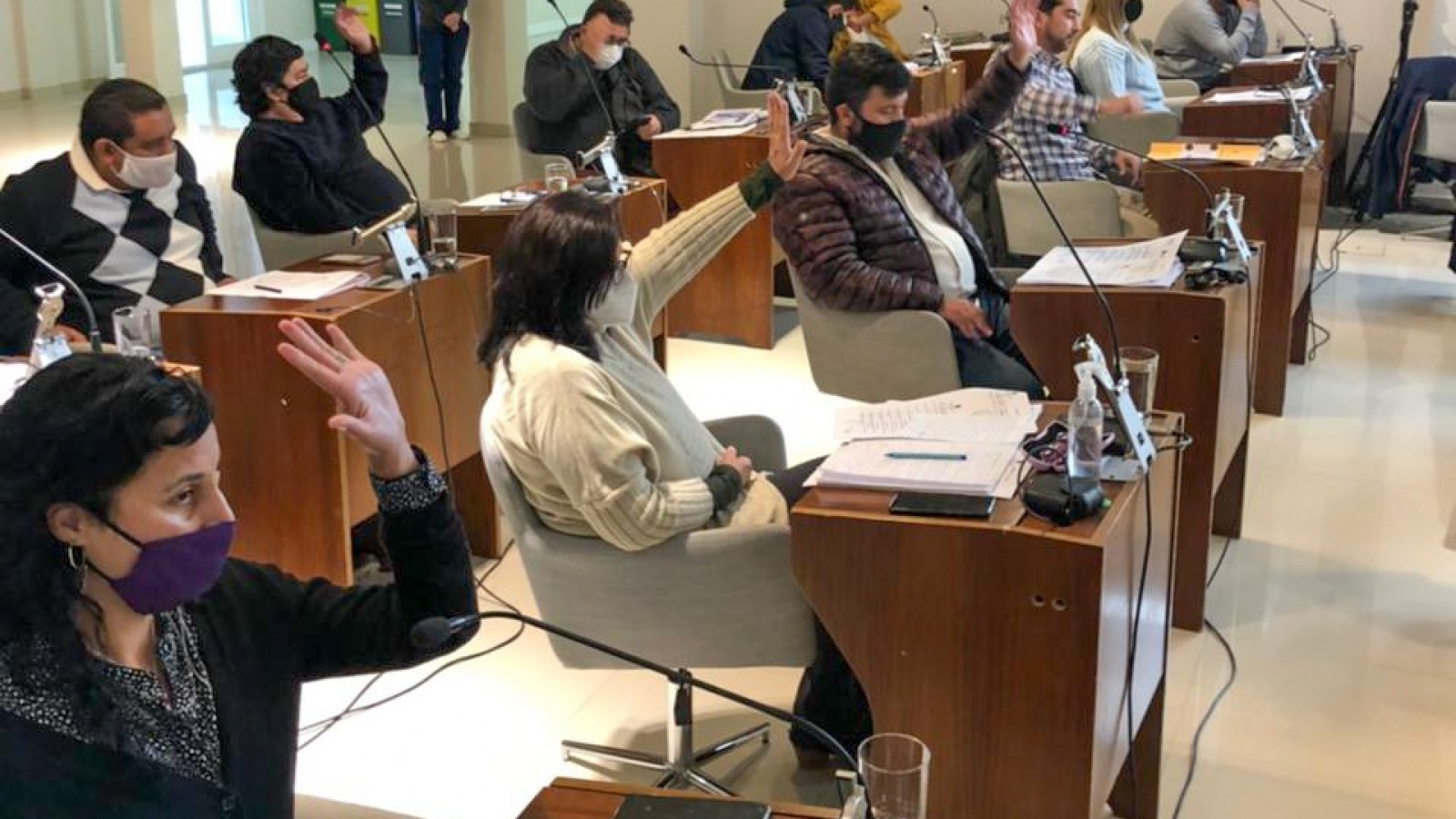 El Concejo Deliberante de San Fernando aprobó la Rendición de Cuentas 2020